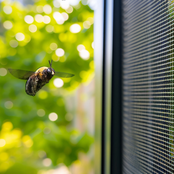 Insektenschutzgitter Hannover